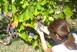 Κατάργηση του Ειδικού Φόρου Κατανάλωσης στο κρασί ζητά ο Σύνδεσμος Βιομηχάνων Θεσσαλίας