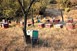  Αιτήσεις μελισσοκόμων για επιδοτούμενα προγράμματα