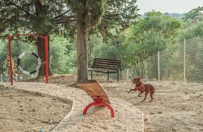 Πάρκο σκύλων στα Τρίκαλα κατασκευασμένο από ανακυκλωμένα υλικά 