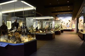 Χορηγία από την ΚΛΙΑΦΑ 3200 μαθητών στο Μουσείο Φυσικής Ιστορίας Μετεώρων και Μουσείο Μανιταριών