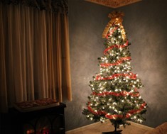 Τι συμβολίζει το Χριστουγεννιάτικο δέντρο;