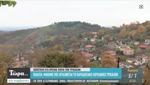 Oδοιπορικό του Open TV στα ορεινά χωριά του νομού Τρικάλων (Βίντεο)