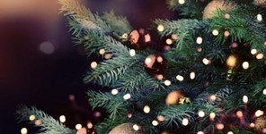 Την Κυριακή η φωταγώγηση του χριστουγεννιάτικου δέντρου στην Πύλη 