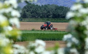 Περιφέρεια Θεσσαλίας: Πληρωμές σε 35 νέους δικαιούχους του προγράμματος Νέοι Αγρότες