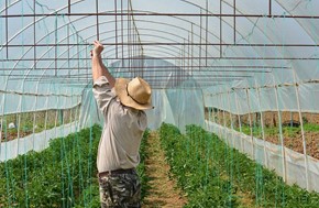 Θεσσαλία: Θέσεις για 14.000 εποχικούς εργάτες γης - Στο ΦΕΚ οι άδειες διαμονής