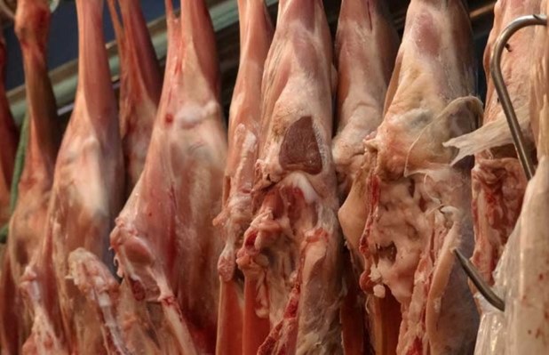 Θεσσαλία: Με ανοδικές τάσεις οι τιμές παραγωγού σε αρνί και κατσίκι